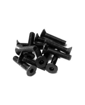 BS502-030 Flat Head Hex Screw HM3x14 12pcs