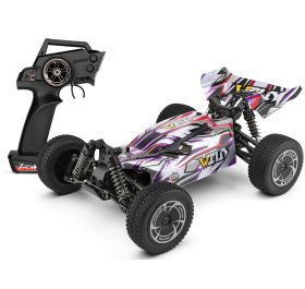 WLtoys Wild Silver Buggy - 30 km/h, 29cm